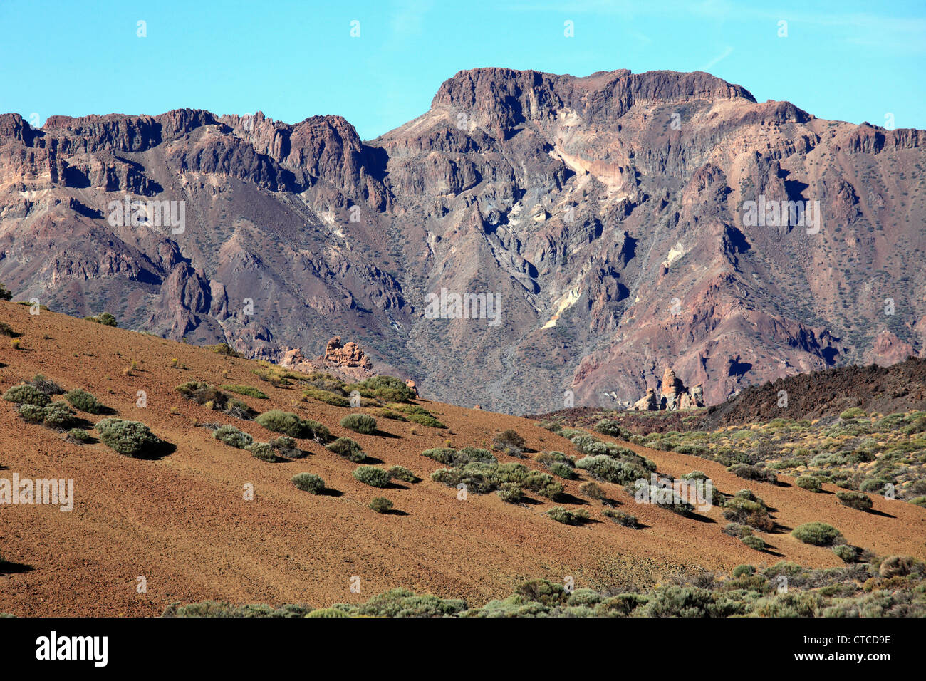 Spagna Isole Canarie, Tenerife, Parque Nacional del Teide, paesaggio, Foto Stock