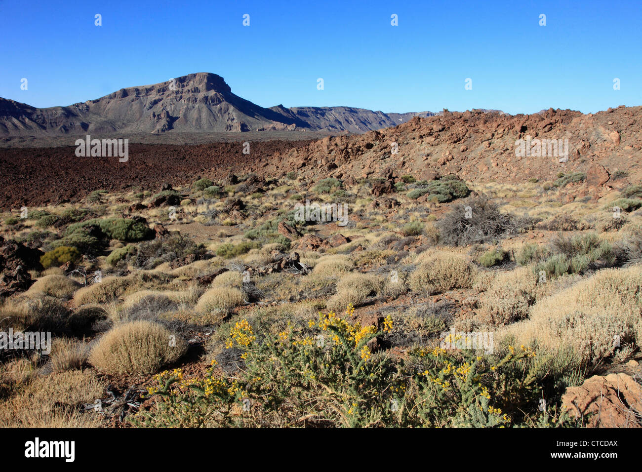 Spagna Isole Canarie, Tenerife, Parque Nacional del Teide, Guajara Montagna, Foto Stock