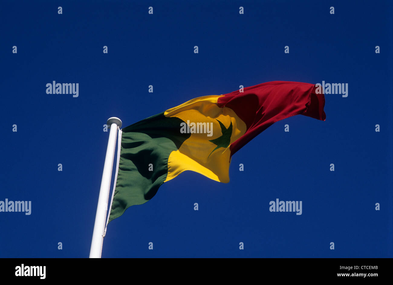 La bandiera nazionale del Senegal. Foto Stock