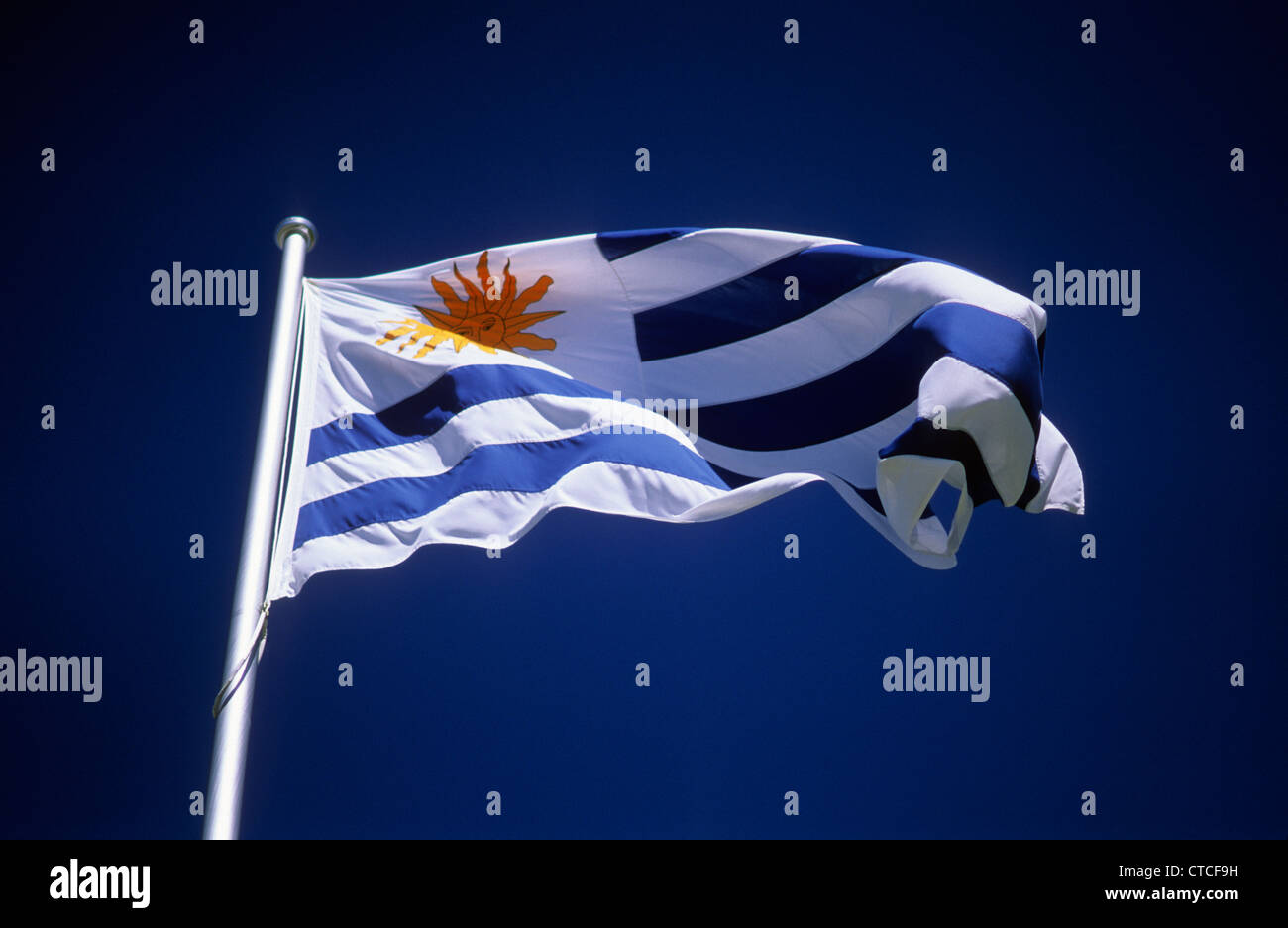 La bandiera nazionale/i colori dell'Uruguay. Foto Stock