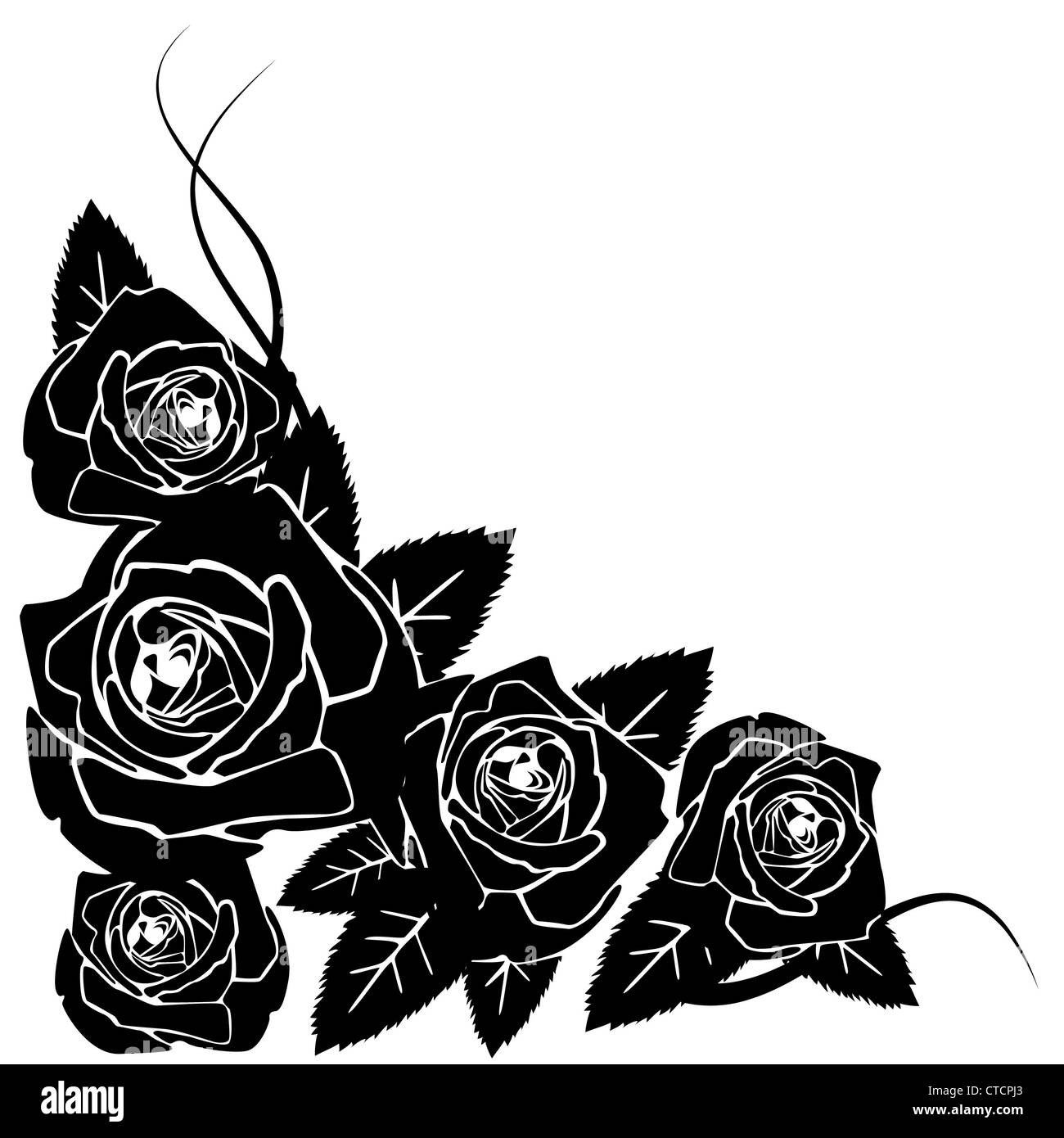 Sfondo costituito da black roses Foto Stock