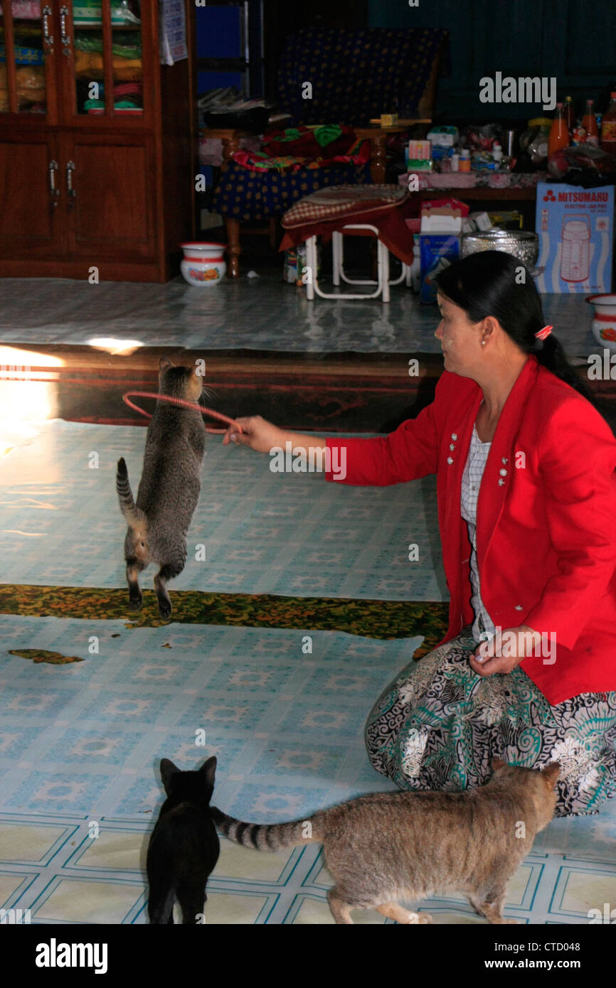 Jumping cat monastero, Lago Inle, stato Shan, Myanmar, sud-est asiatico Foto Stock
