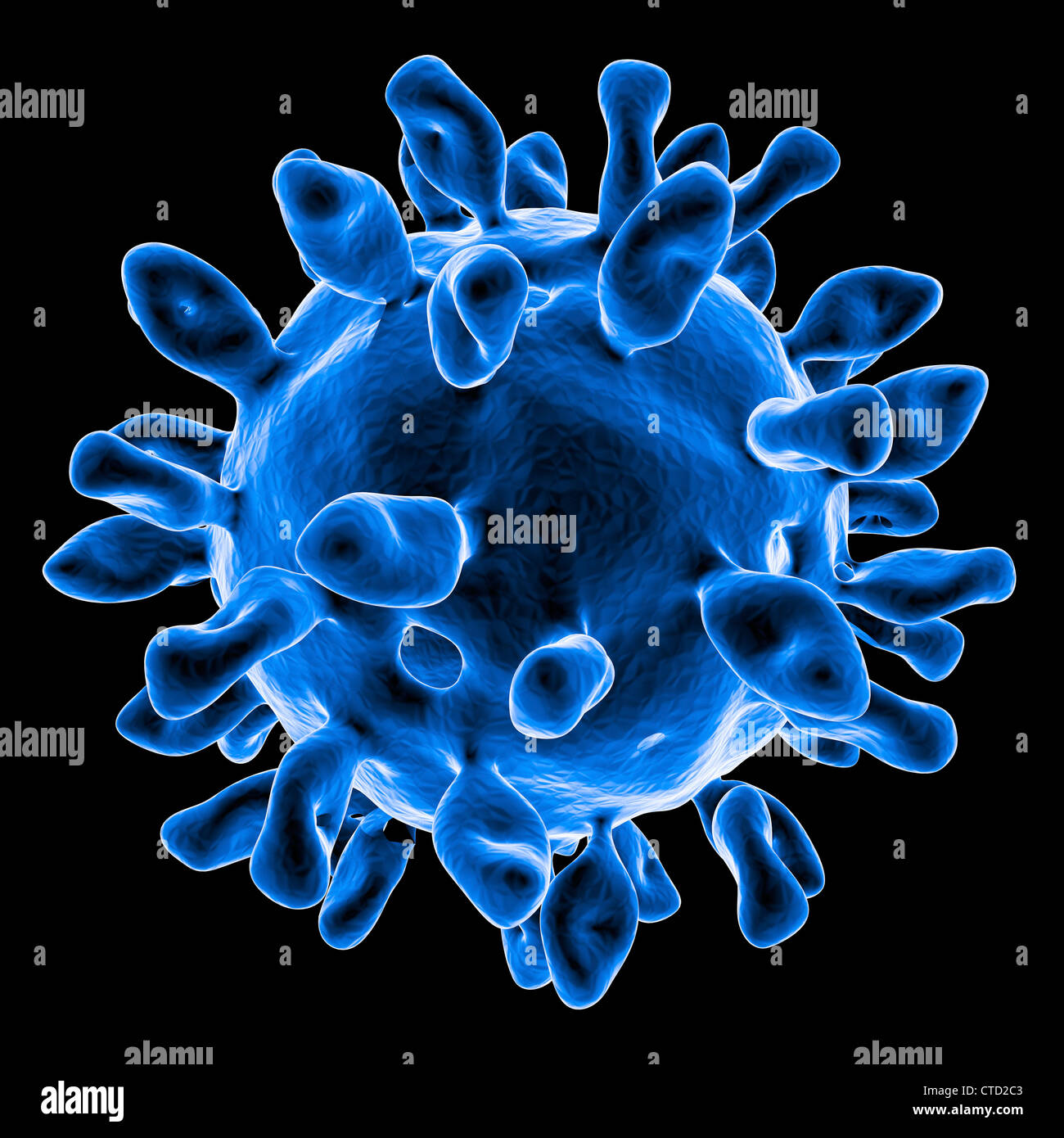 Virus di afta epizootica Foto Stock