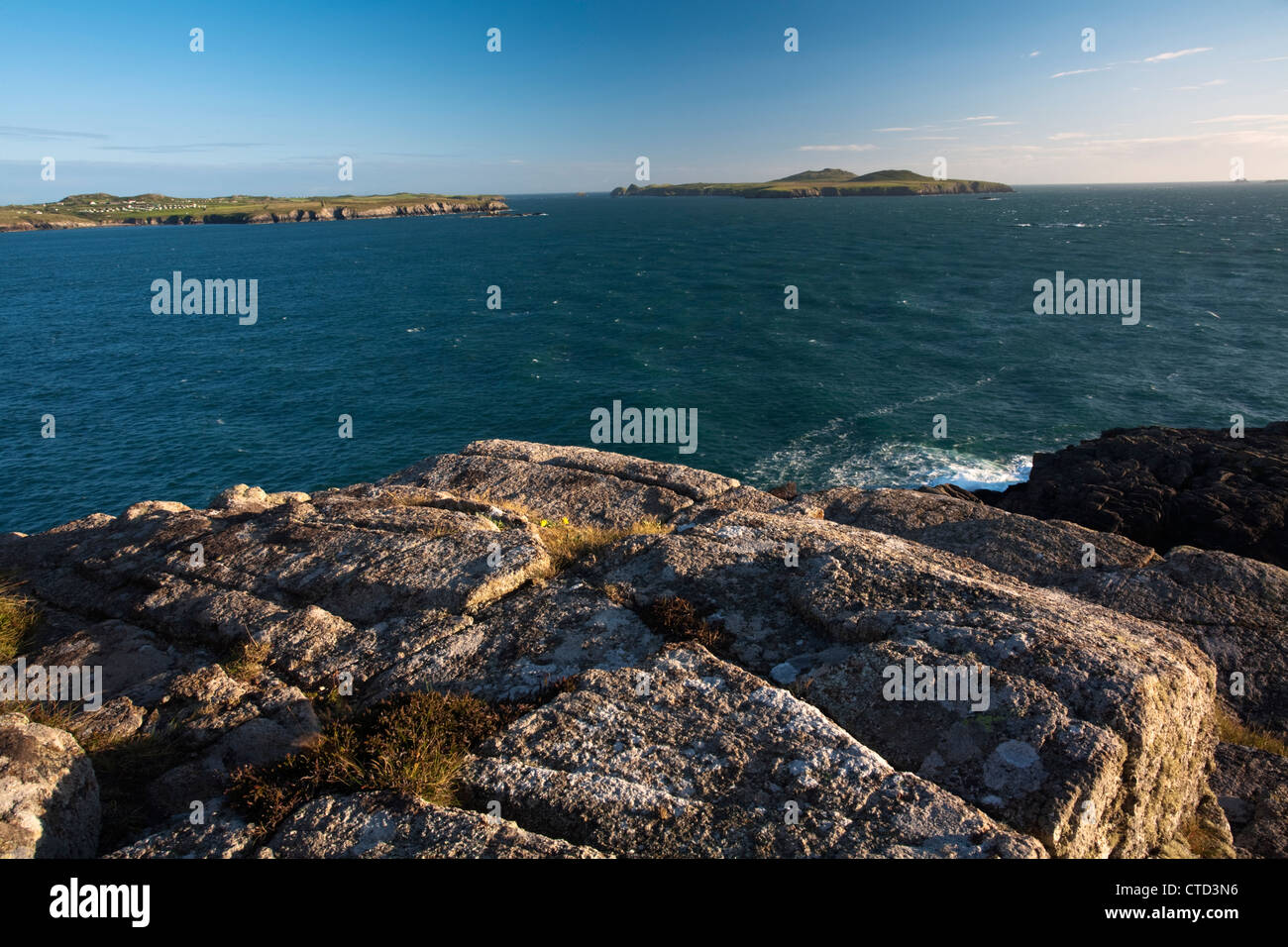 Vista su tutta la baia Whitesands dalla fine di St David's testa guardando verso Ramsey Island, Pembrokeshire, Wales, Regno Unito Foto Stock