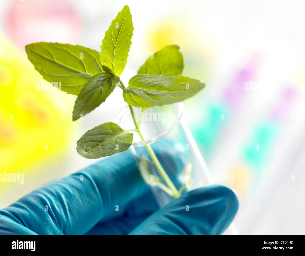 Plant Research Immagine concettuale Foto Stock