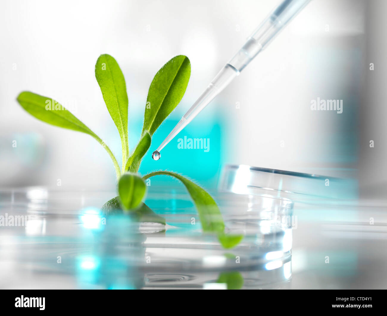 Plant Research Immagine concettuale Foto Stock