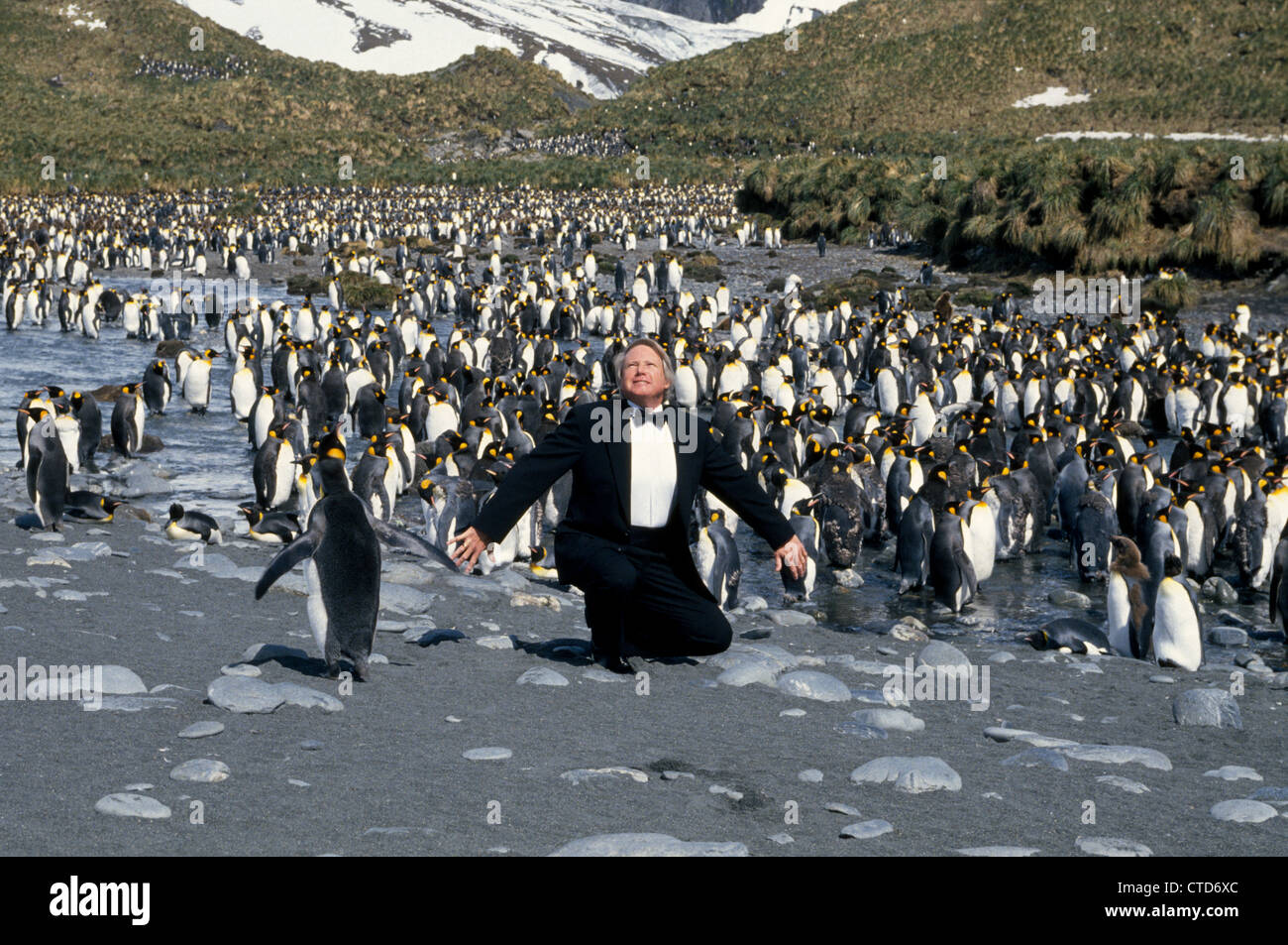 Un visitatore in Antartide vestiti in modo appropriato in uno smoking per imitare il re pinguini a Porto Oro sull Isola Georgia del Sud nel So. Oceano Atlantico. Foto Stock