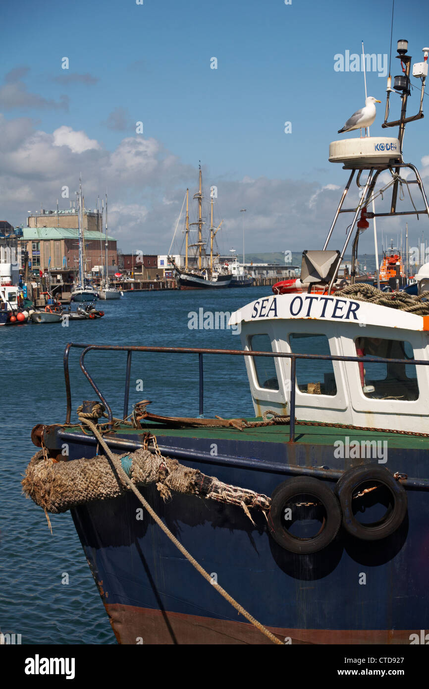 Barche a Weymouth quayside in giugno Foto Stock