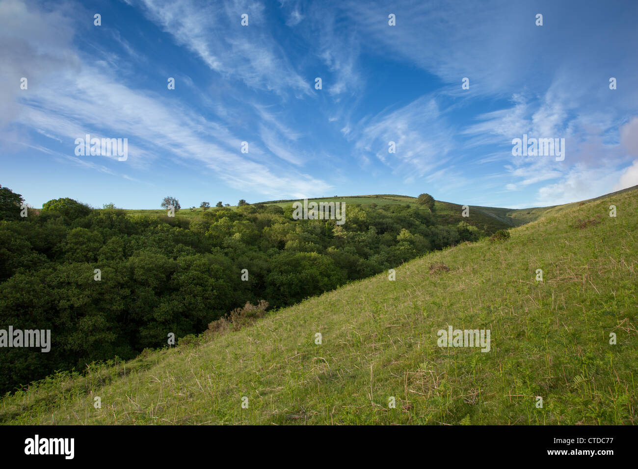 Una vista dal lago viadotto dartmoor Foto Stock