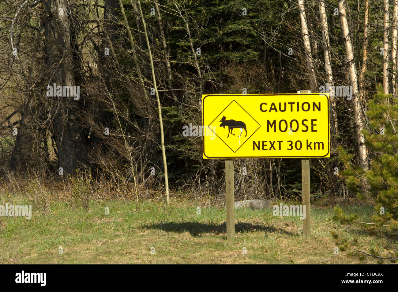 Attenzione alci Sign in Canada Foto Stock