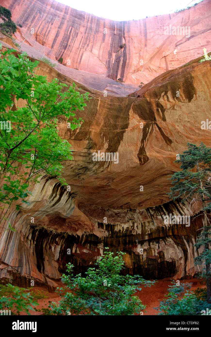 Il doppio arco alcova su Taylor Creek Trail nel Kolob Canyon Zion National Park, Utah Foto Stock