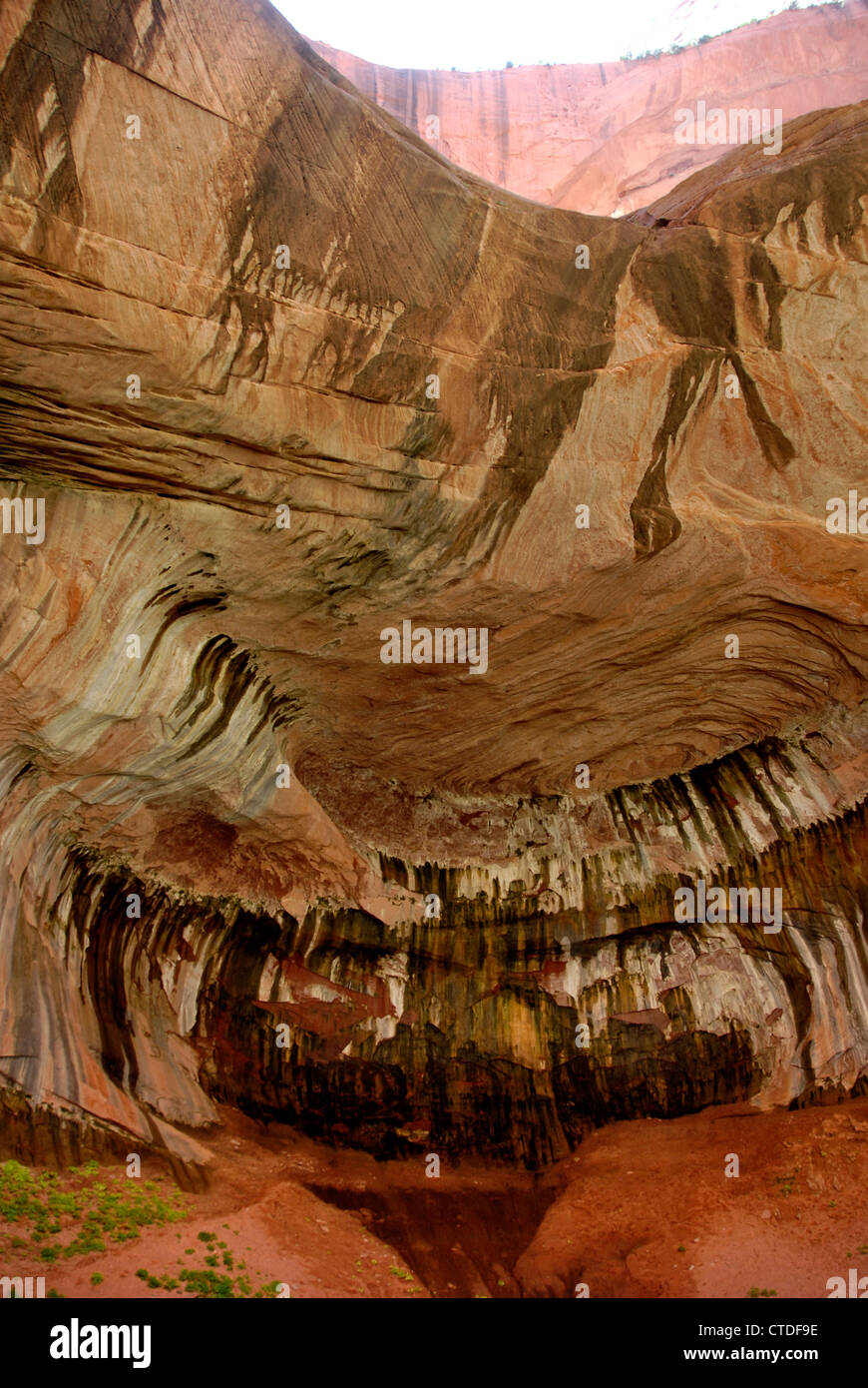 Il doppio arco alcova su Taylor Creek Trail nel Kolob Canyon Zion National Park, Utah Foto Stock