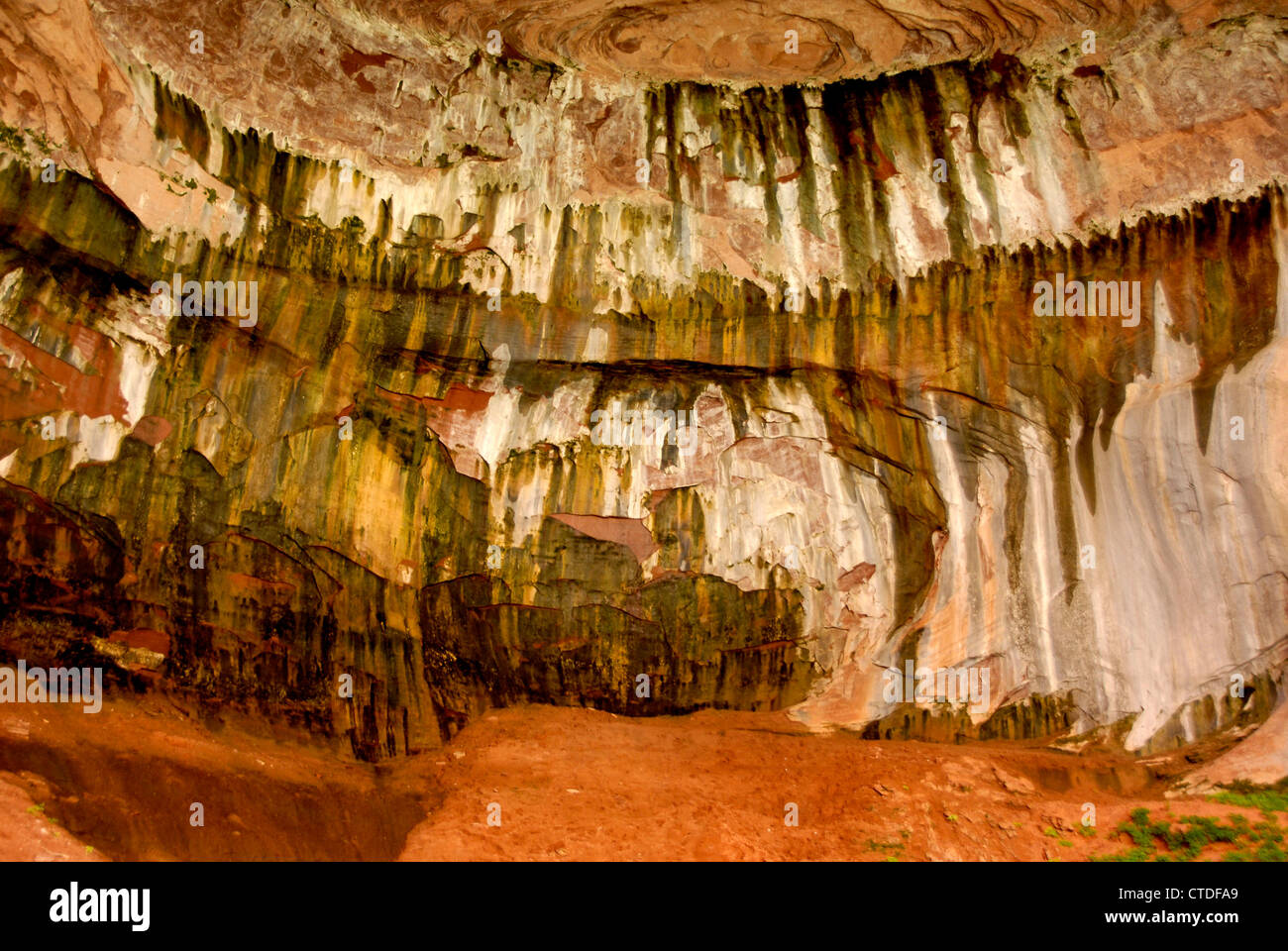 Il doppio arco alcova su Taylor Creek Trail nel Kolob Canyon Zion National Park, Utah Foto Stock