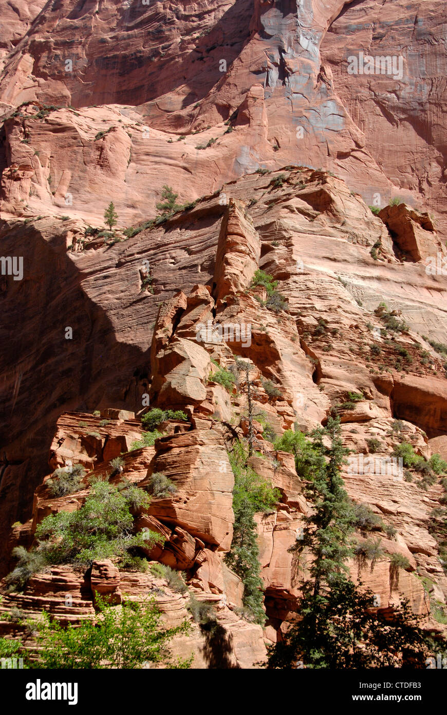 Arenaria formazioni di roccia su Taylor Creek Trail nel Kolob Canyon Zion National Park, Utah Foto Stock