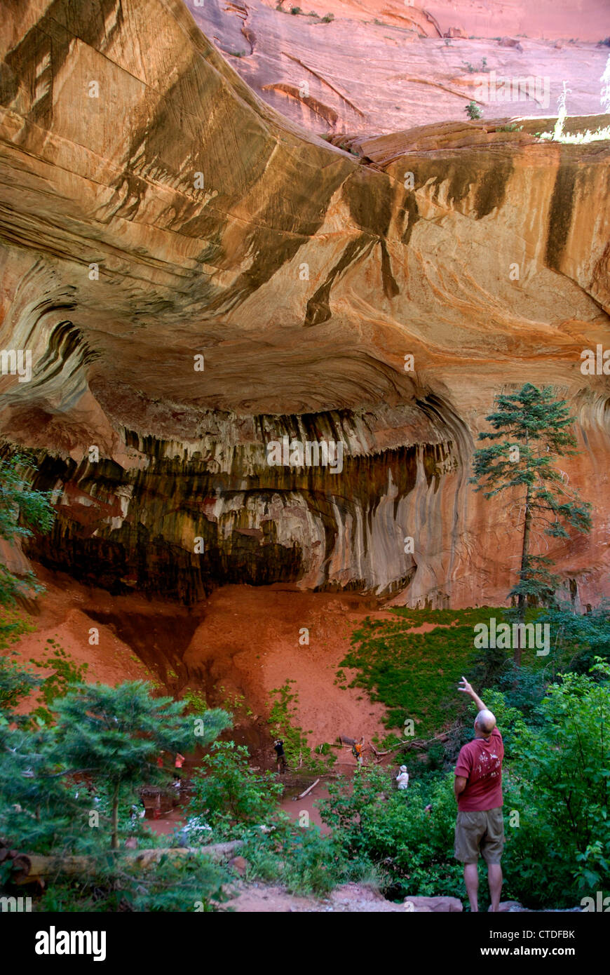 Il doppio arco alcova su Taylor Creek Trail nel Kolob Canyon Zion National Park, Utah Foto Stock