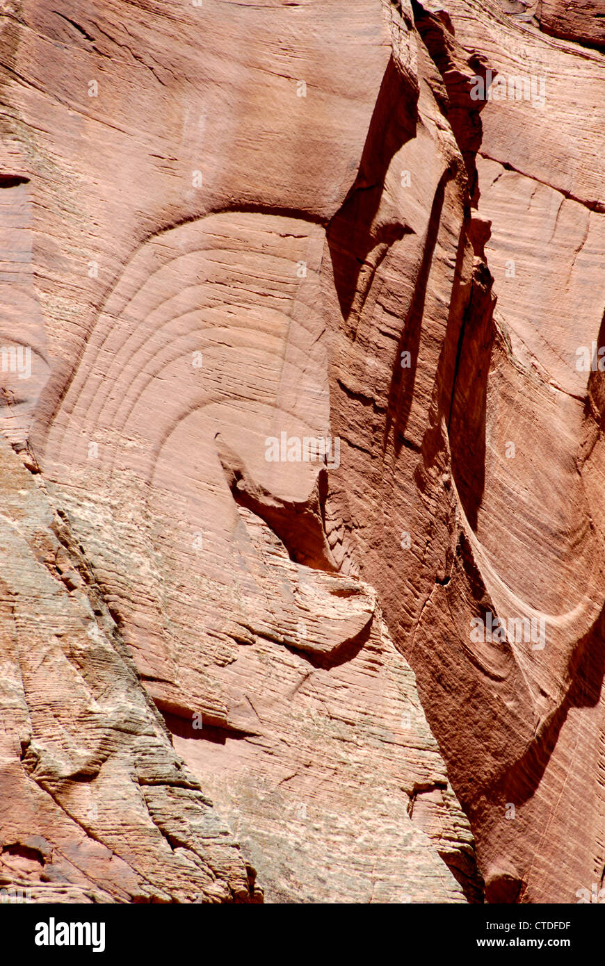 Modelli di arenaria su Taylor Creek Trail nel Kolob Canyon Zion National Park, Utah Foto Stock