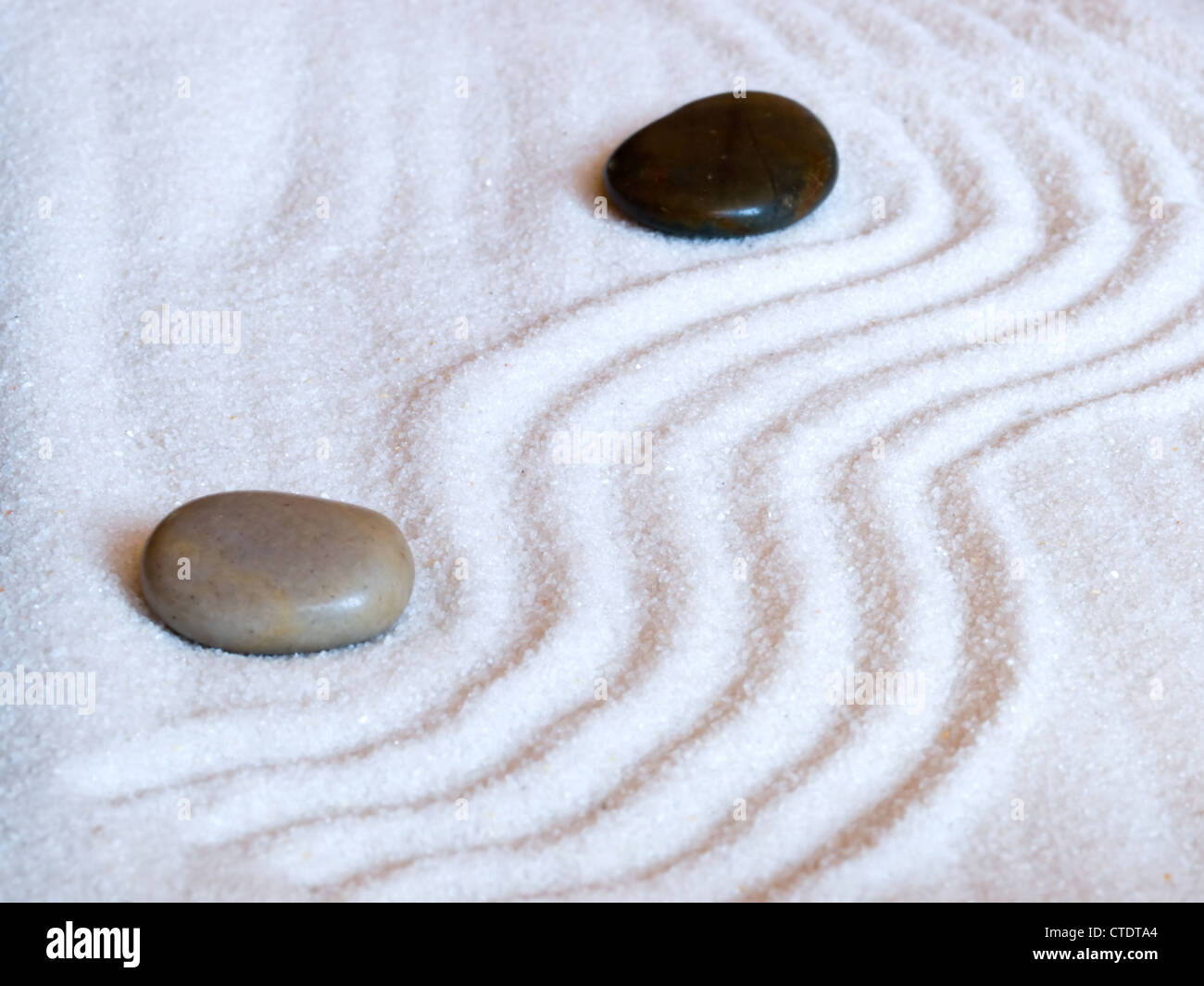 Close-up di un giapponese giardino zen con due pietre. Foto Stock