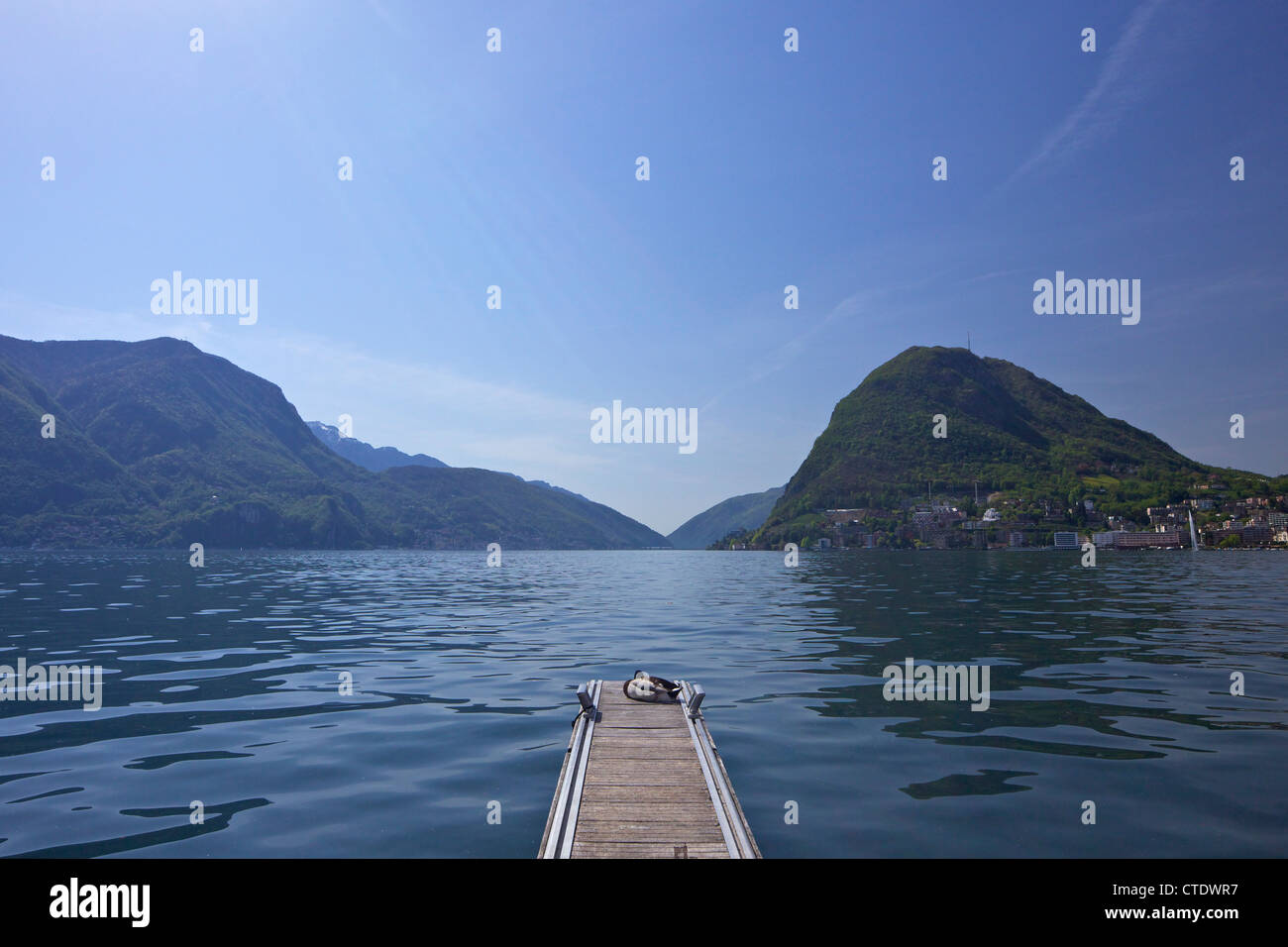 Anatra sul molo a Lugano, in vista del Monte San Salvador, il lago di Lugano, Ticino, Svizzera, Europa Foto Stock