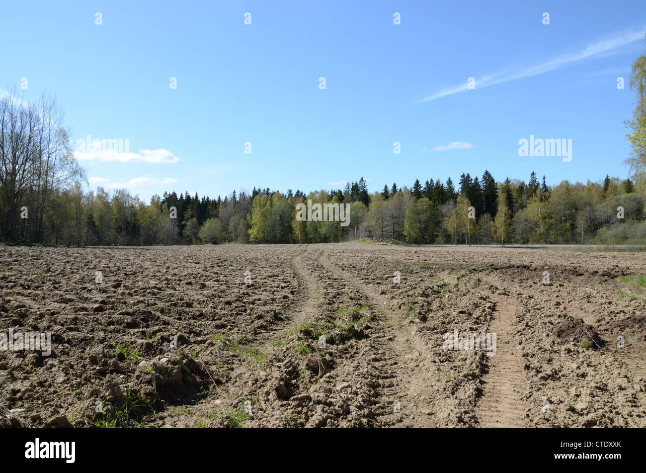 Il suolo e il campo in primavera Foto Stock