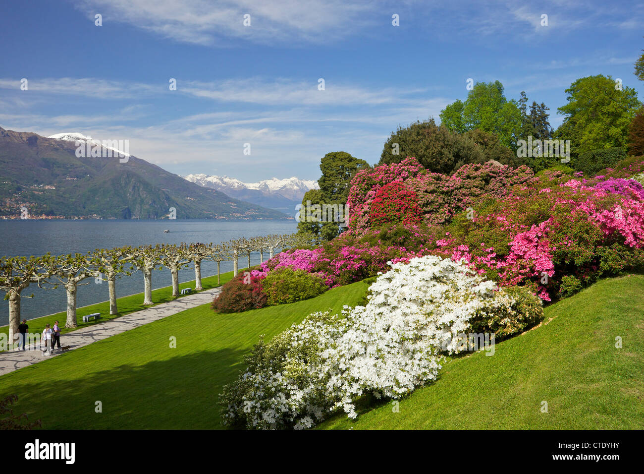 Giardini di Villa Melzi, Bellagio Lago di Como, Italia, Europa Foto Stock