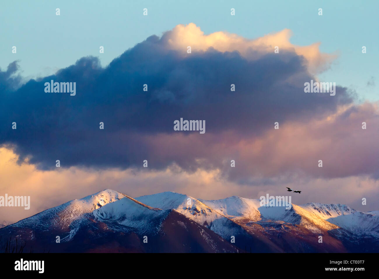 Appena prima del sorgere del sole in Omarama, Isola del Sud della Nuova Zelanda 3 Foto Stock