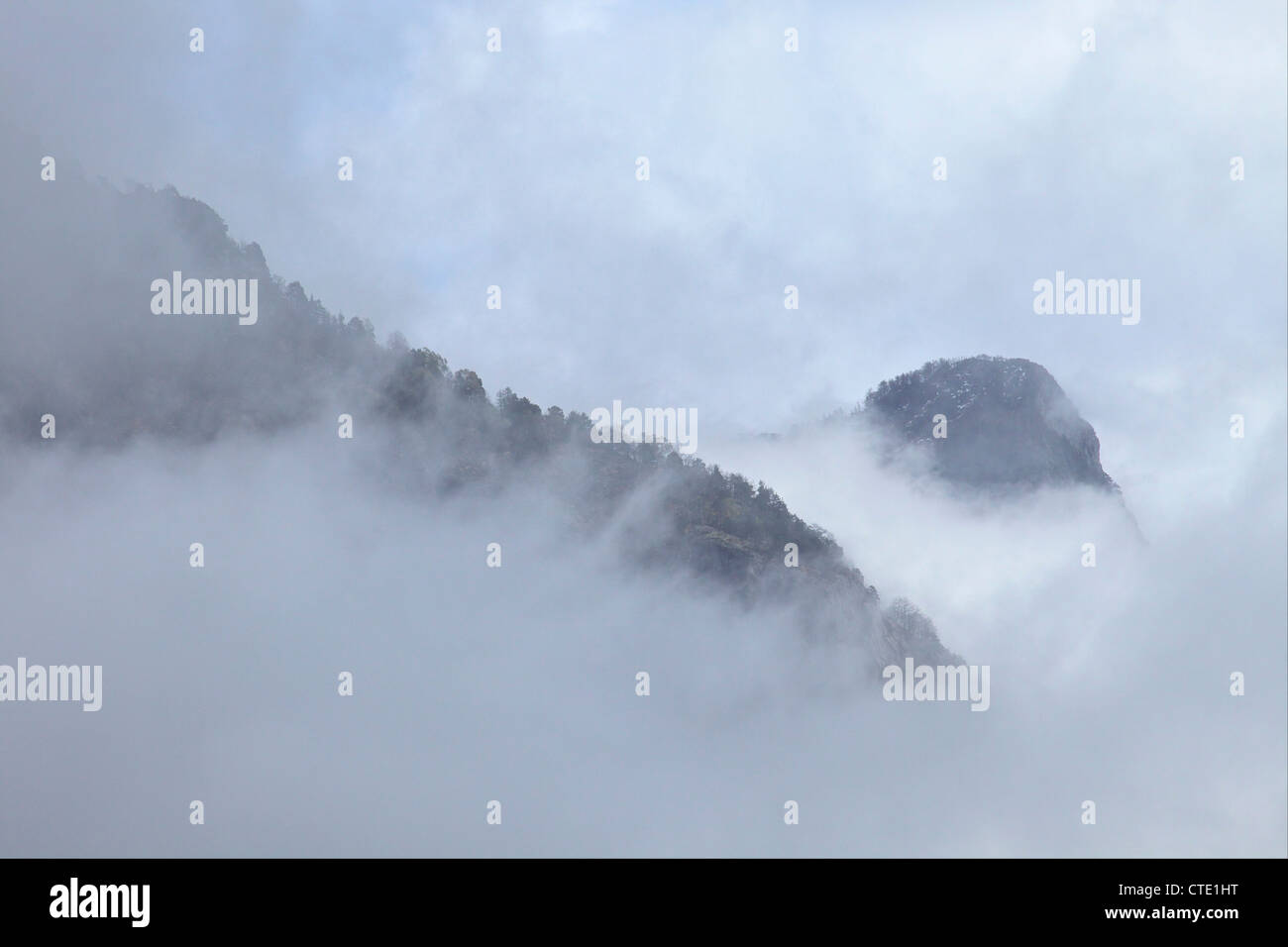 Forest e scogliere nella nebbia, Engadina, alpi svizzere, Svizzera Europa Foto Stock