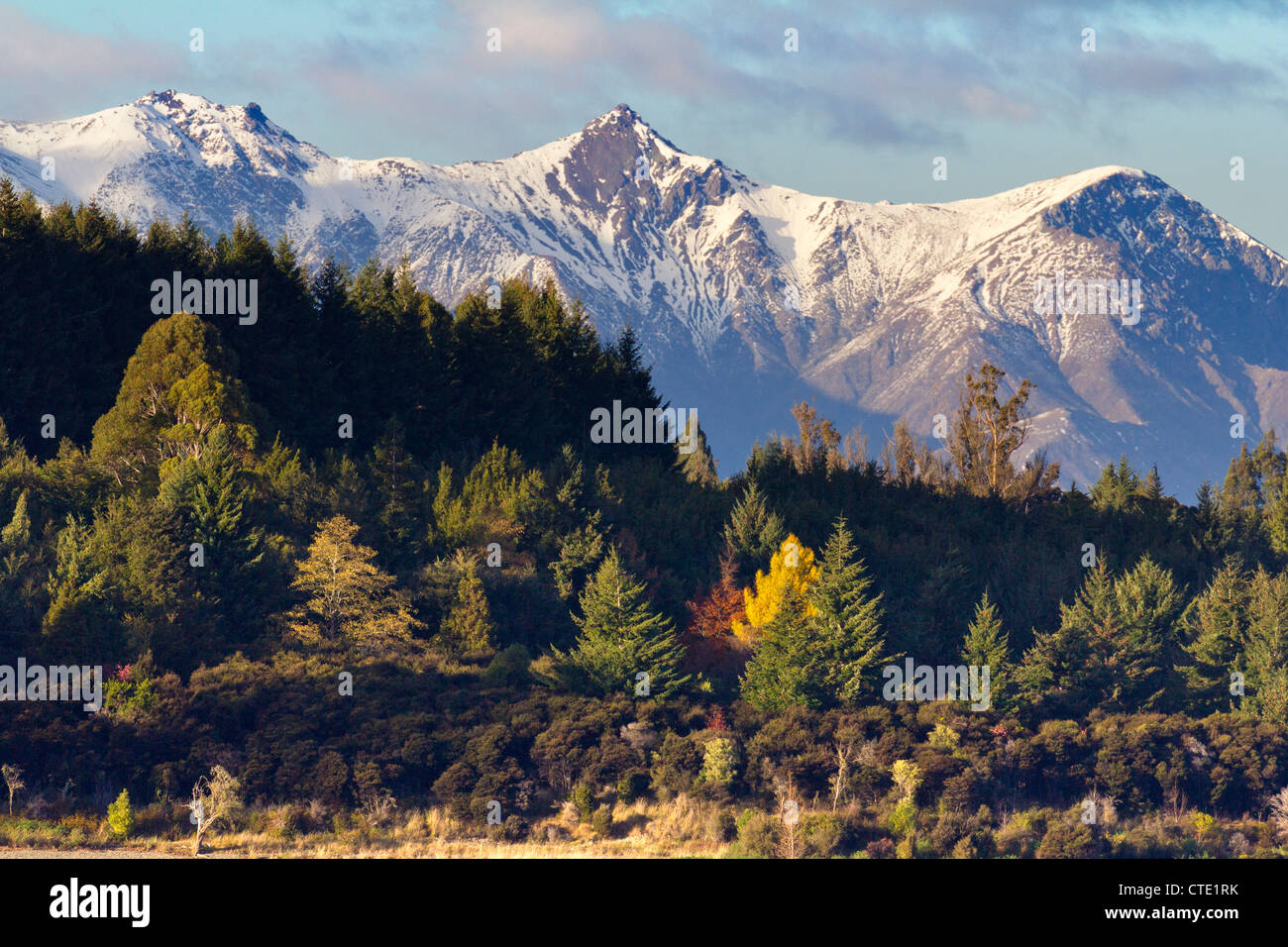 Montagne e foreste di autunno - Vista dal Lago Te Anau, Nuova Zelanda 1 Foto Stock