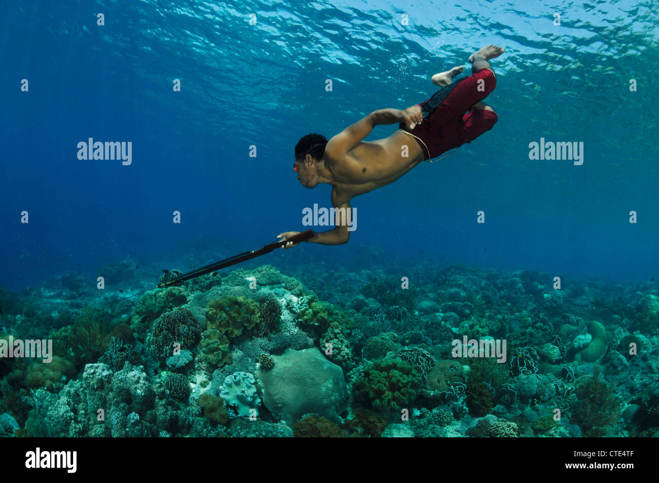 Pescatore caccia con fucile, Alor, Indonesia Foto Stock