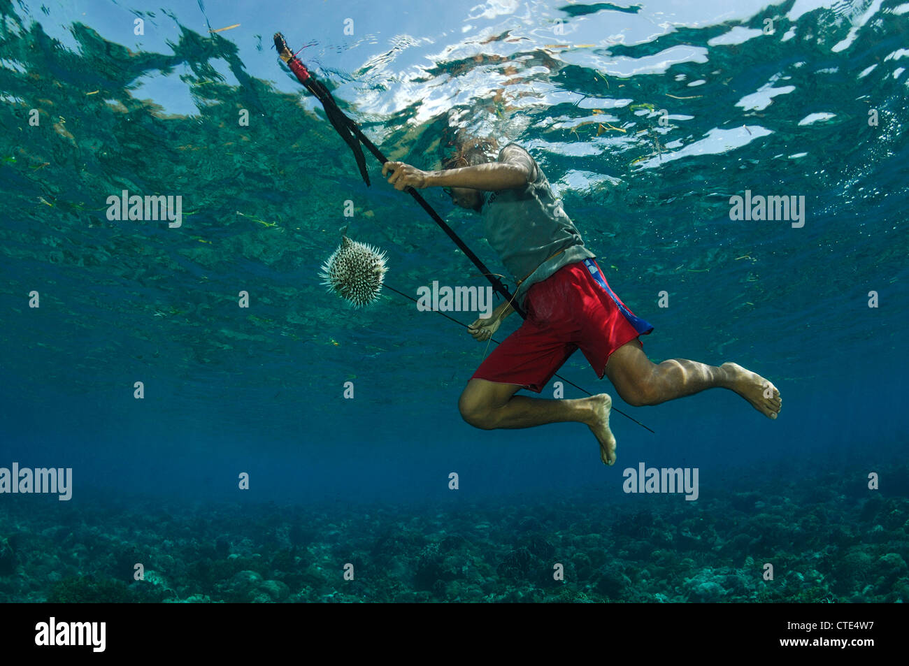 Pescatore caccia con fucile, Alor, Indonesia Foto Stock
