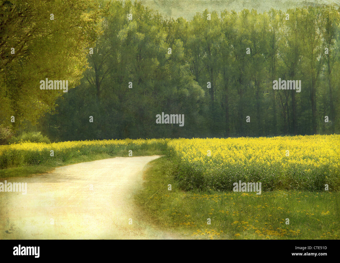 Estate in Baviera rurale Foto Stock