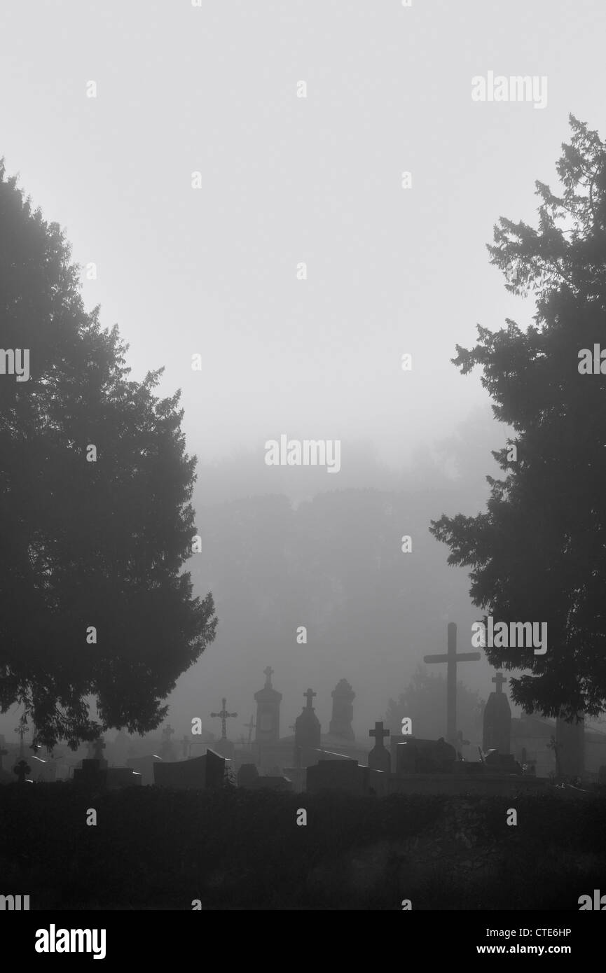 Lugubre stagliano lapidi, macabro tombe e creepy croci orribile cimitero con alberi in foggy atmosfera di nebbia Foto Stock