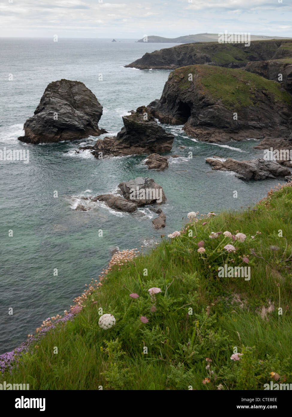 Rocce mare e le scogliere di Fox's Cove e Warren cove vicino Porthcothan, vicino a Padstow, Cornwall Regno Unito guardando verso Trevose Head Foto Stock