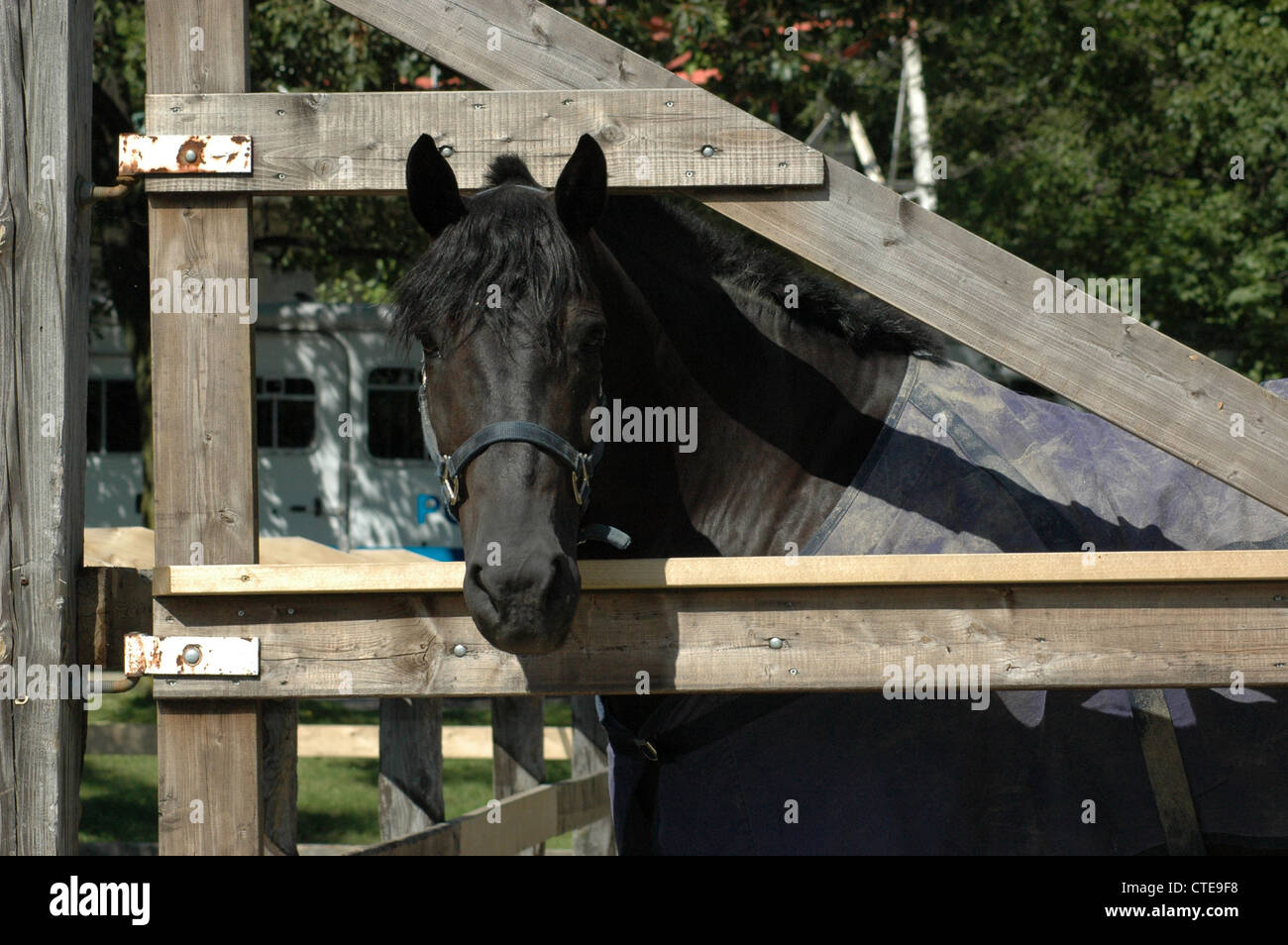La polizia canadese a cavallo del fuori servizio. Foto Stock