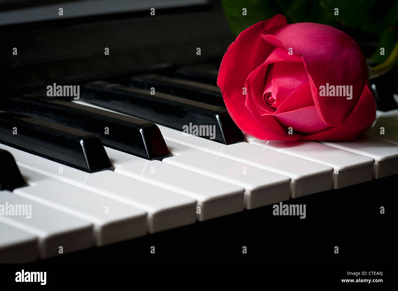 Romantica rosa rossa sul pianoforte Foto stock - Alamy