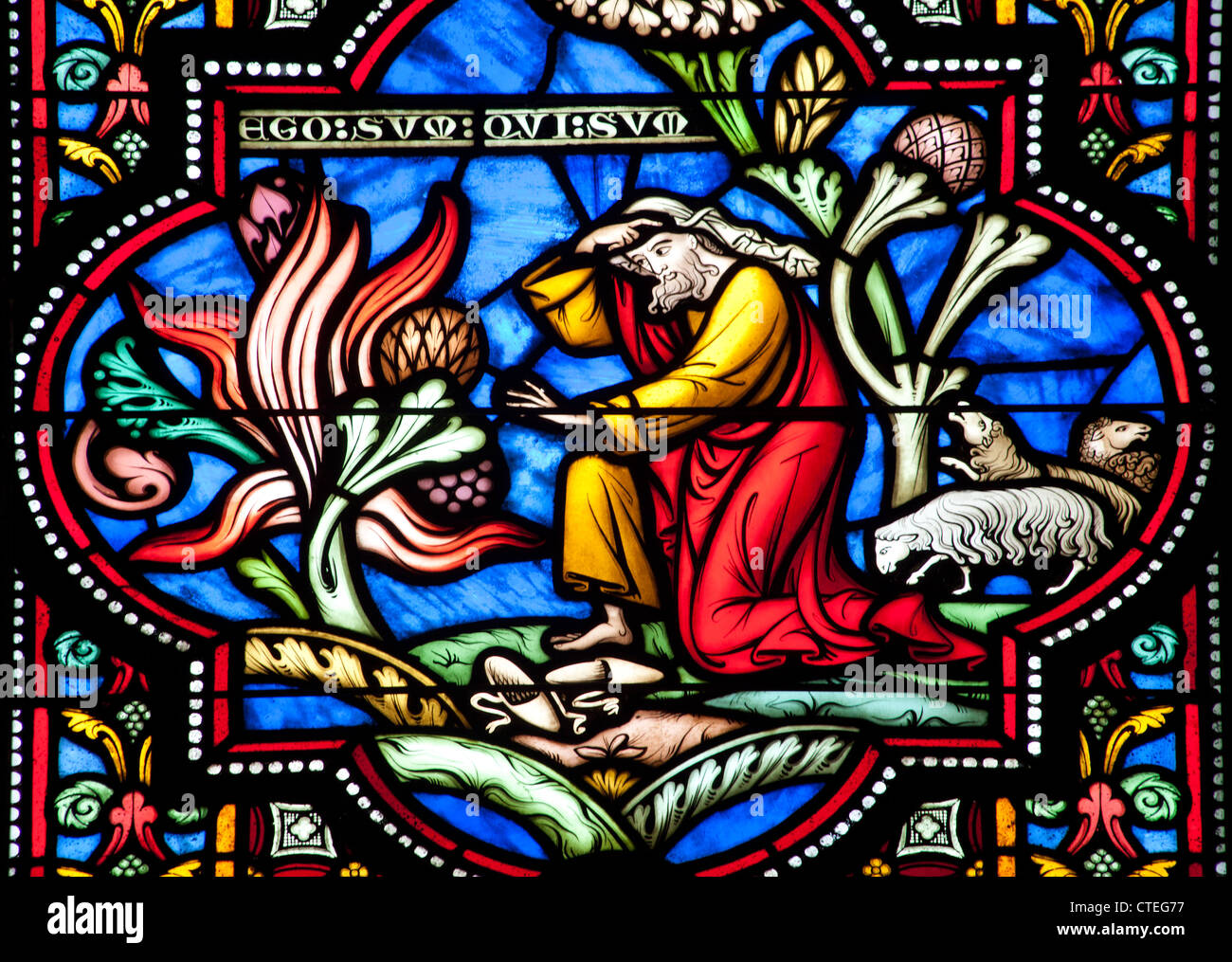 Bruxelles - 22 giugno: Mosè e la boccola dal vetro di finestra in st. Michael s cattedrale gotica il 22 giugno 2012 a Bruxelles. Foto Stock