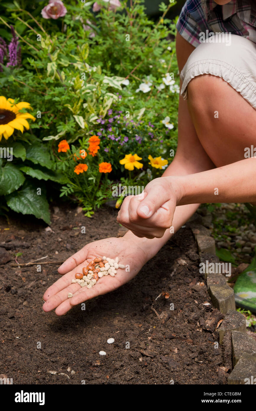 Donna di piantare semi in giardino Foto Stock