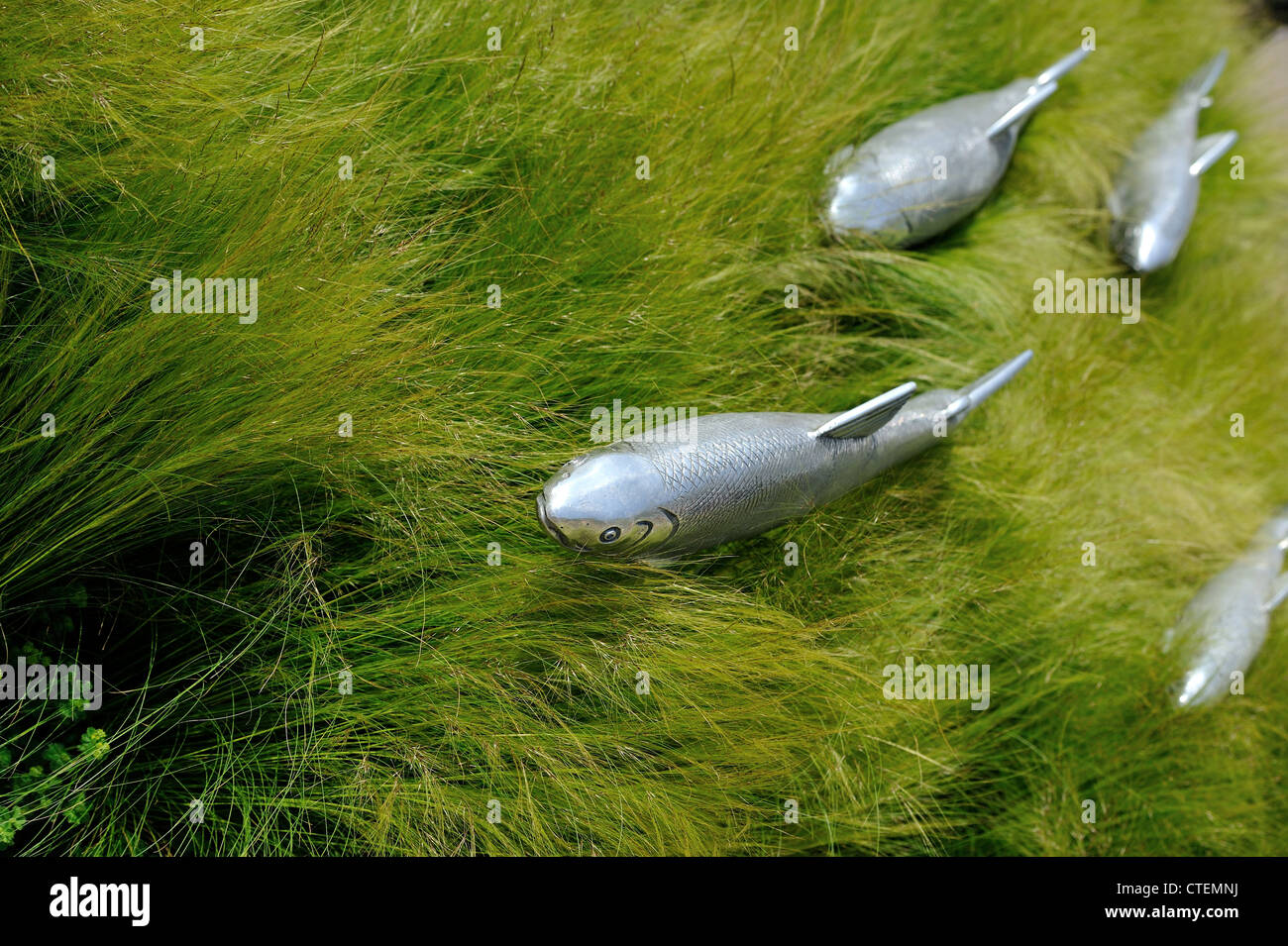 Chelsea Flower Show 2012 Foto Stock