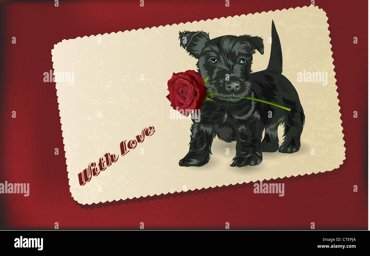 Cucciolo di cane azienda red rose nella sua bocca in stile vintage Foto Stock