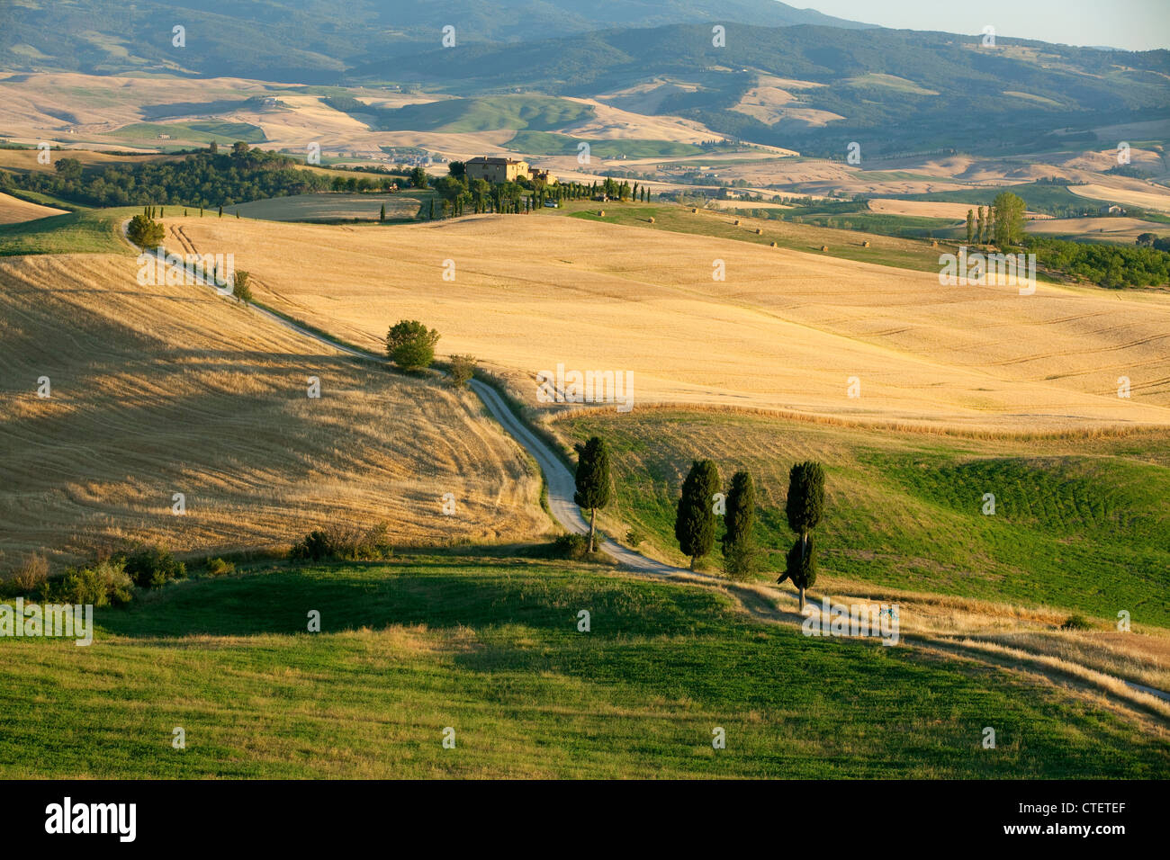 Villa in Toscana vicino a Pienza Italia con golden colline, strada curva e cipressi. Colline di verde e oro a distanza Foto Stock