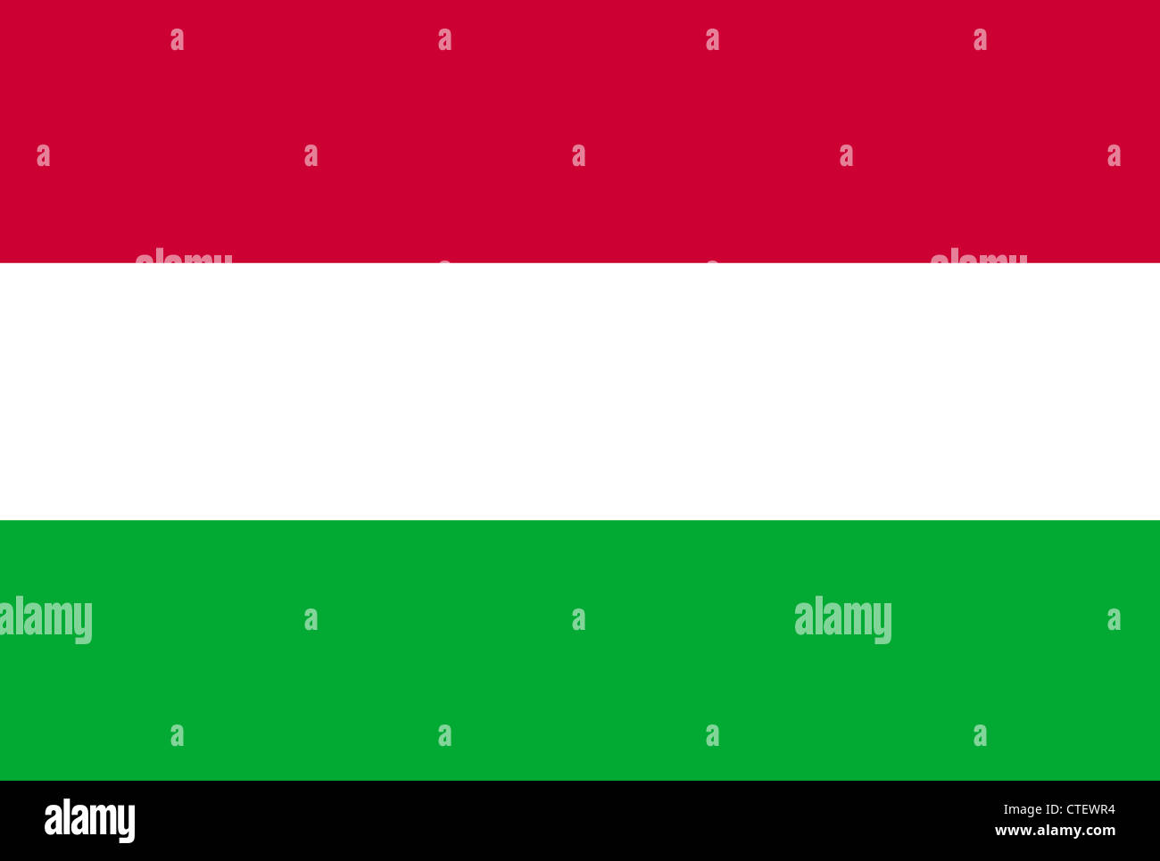 Un'immagine della bandiera nazionale di Ungheria Foto Stock