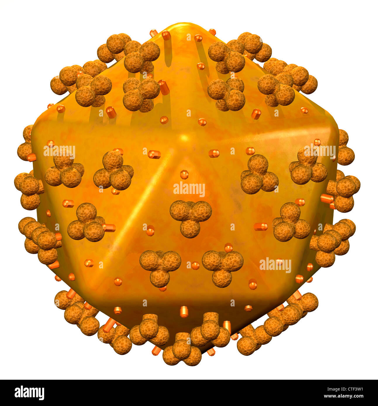 Immagine concettuale che mostra il corpo umano cella Foto Stock