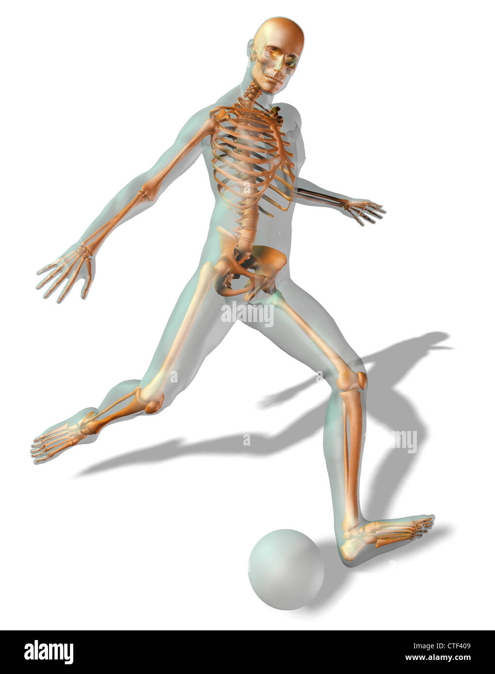 Generati digitalmente immagine della rappresentazione umana gioca palla calcio con scheletro umano visibile Foto Stock