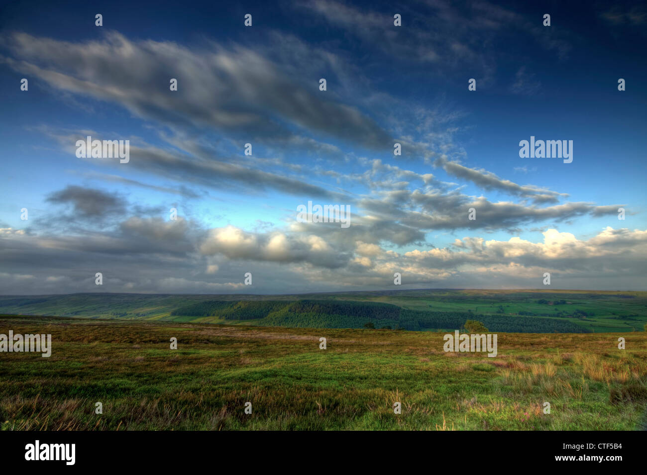 Yorkshire Moors Foto Stock