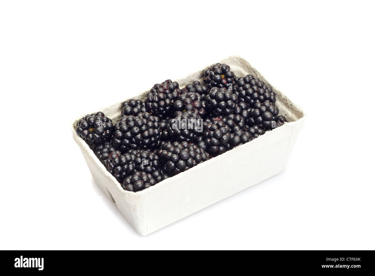 Blackberry freschi, foto sullo sfondo bianco Foto Stock