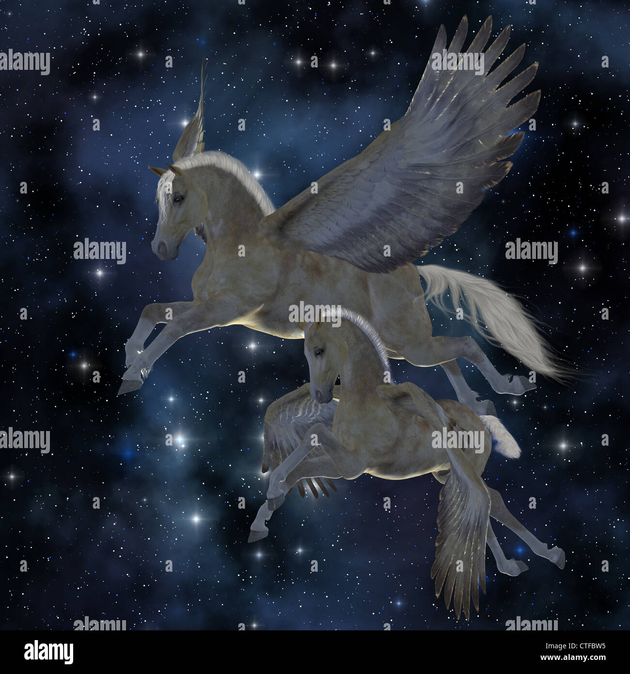 Un Palomino Pegasus mare e puledro volare tra le stelle sul magico ali. Foto Stock