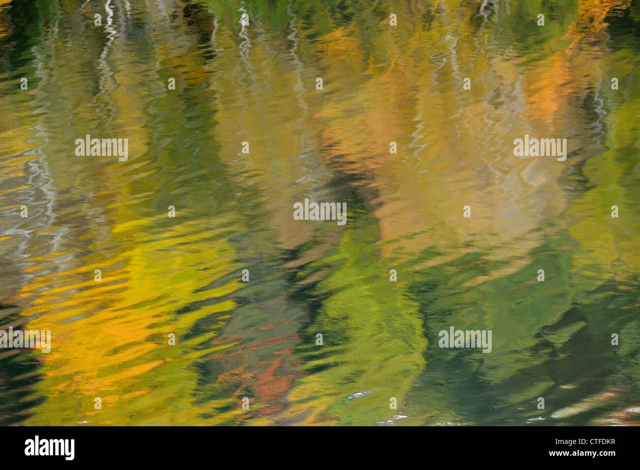 Autunno riflessioni in lakewater, Algonquin Provincial Park, Ontario, Canada Foto Stock