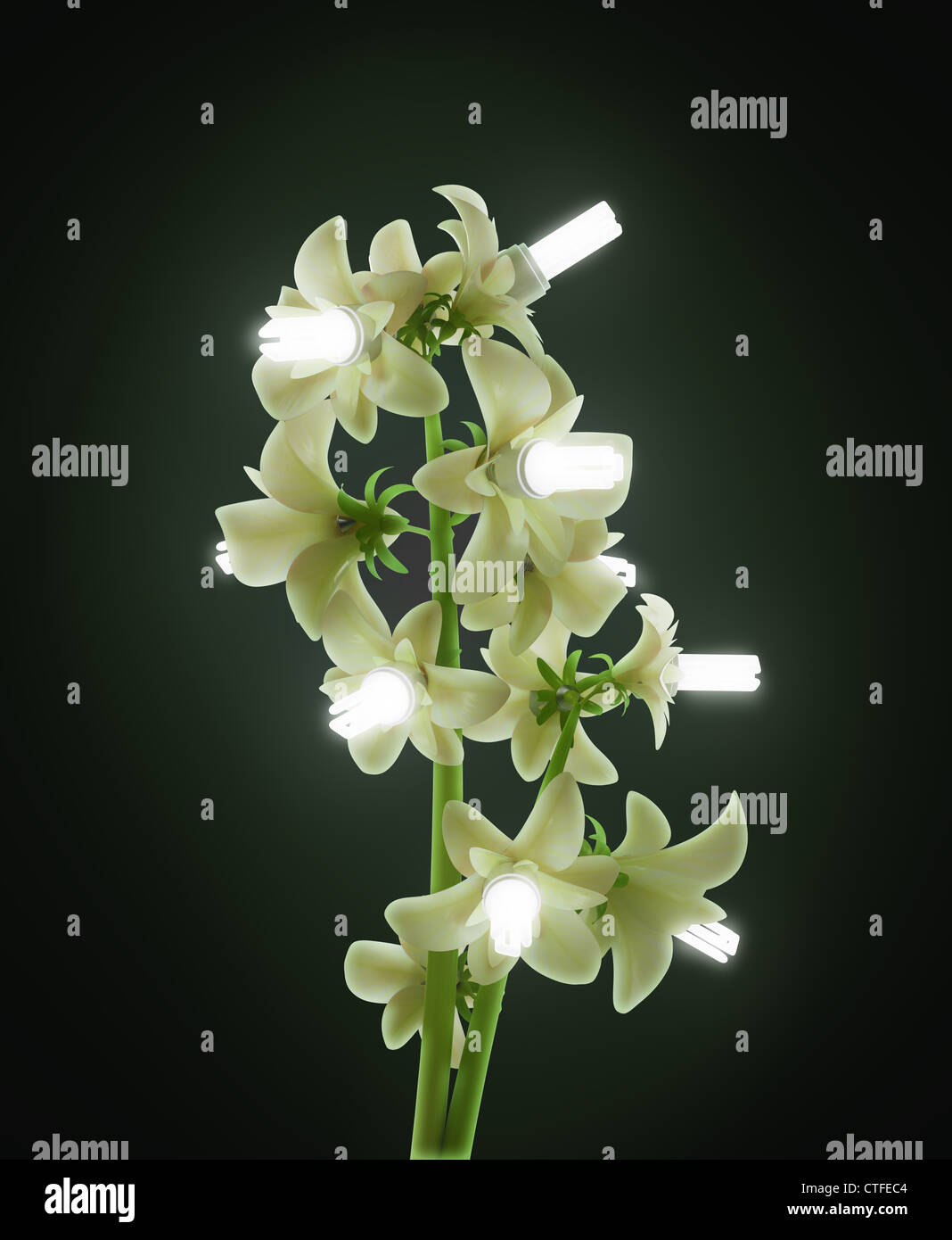 Energia verde concetto - un impianto con risparmio energetico lampada fiori Foto Stock