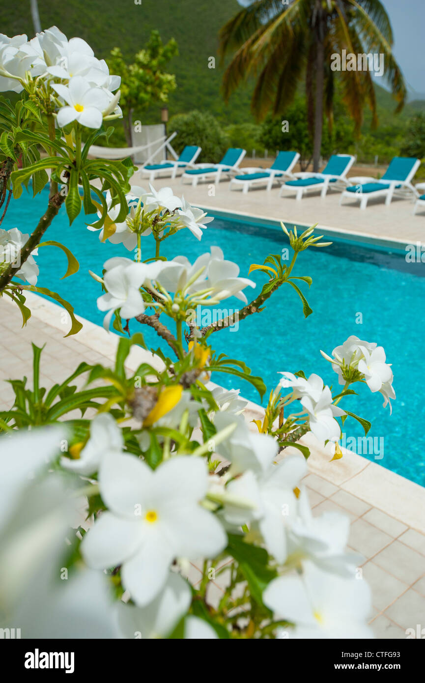 Caribbean West Indies Nevis Mount Nevis Hotel piscina relax tropicale Foto Stock