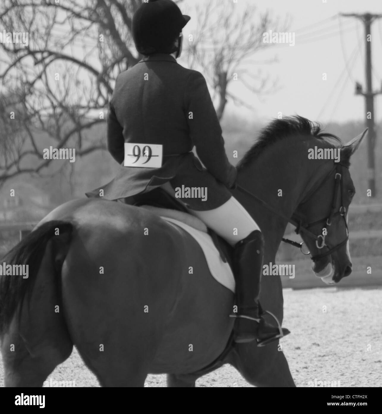 Femmina di cavaliere a cavallo concorrenti a dressage. Fotografato a West Wilts centro equestre, Wiltshire, Regno Unito Foto Stock