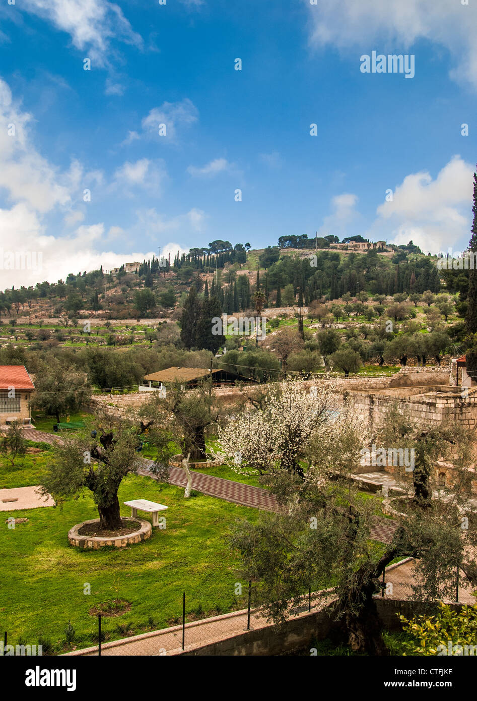 Vista del giardino in Gerusalemme, Israele Foto Stock